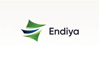 ENDIYA PARTNERS FUND III logo
